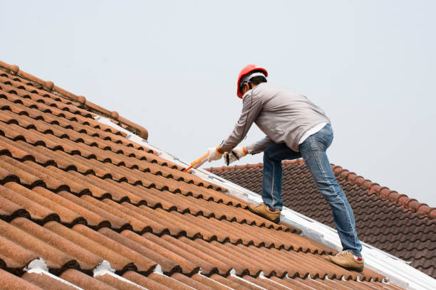 Best Cold Roofs  in Chula Vista, TX